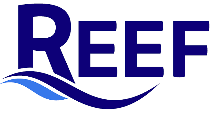 REEF